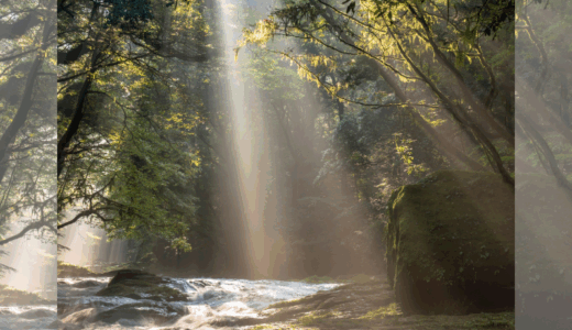心理師をめざした理由 　相談室で泣き崩れたわたしの決意